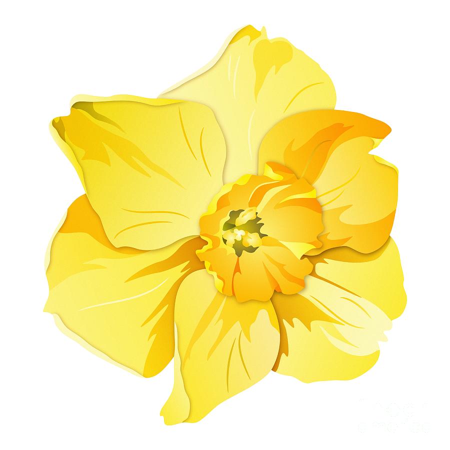 Short Trumpet Daffodil in Yellow Digital Art by MM Anderson