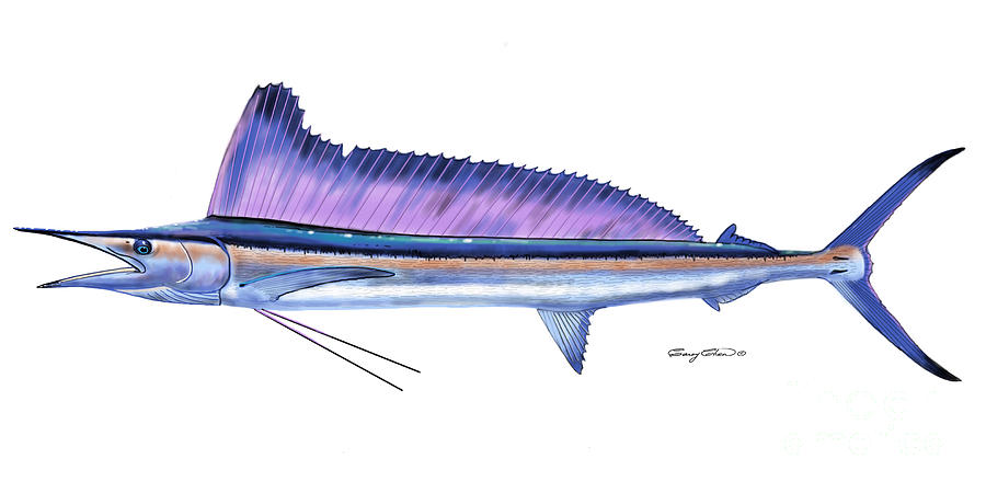 Shortbill Spearfish  Digital Art by Carey Chen