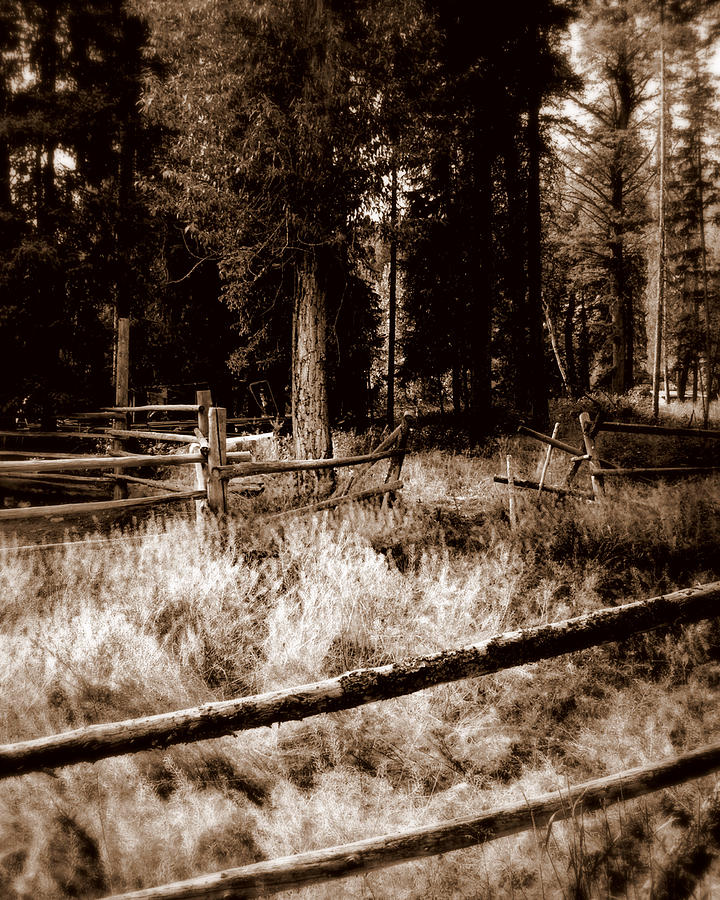 Shoshone Fences Photograph by Karen Musick