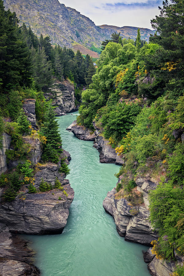 Shotover River and Canyon New Zealand Photograph by Joan Carroll
