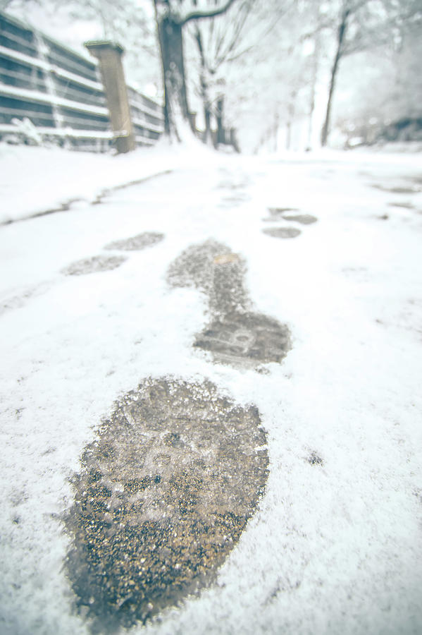Winter Photograph - Show Footprints In Snow On Sidewalk Along The Park by Alex Grichenko