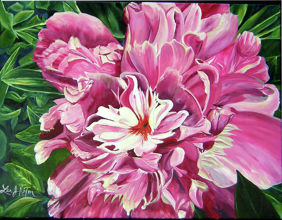 Showy Pink Peony Painting by Lee Nixon