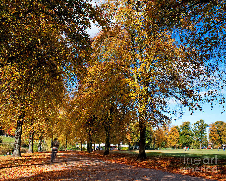 Shrewsbury Autmn Park Photograph by Chris Smith - Fine Art America