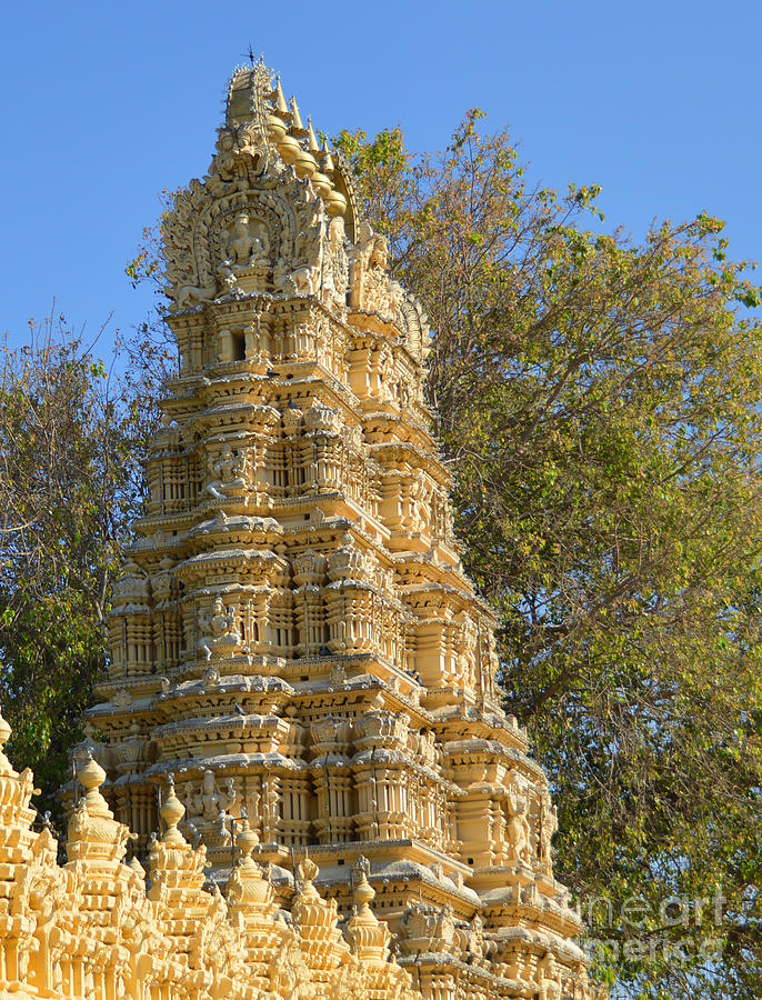 Shri Shweta Varahaswamy Temple Photograph by Mini Arora