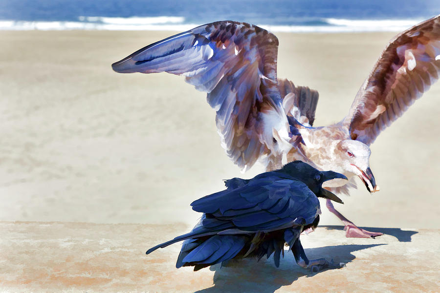 Shrieking and Cawing Photograph by Noel Baebler - Fine Art America