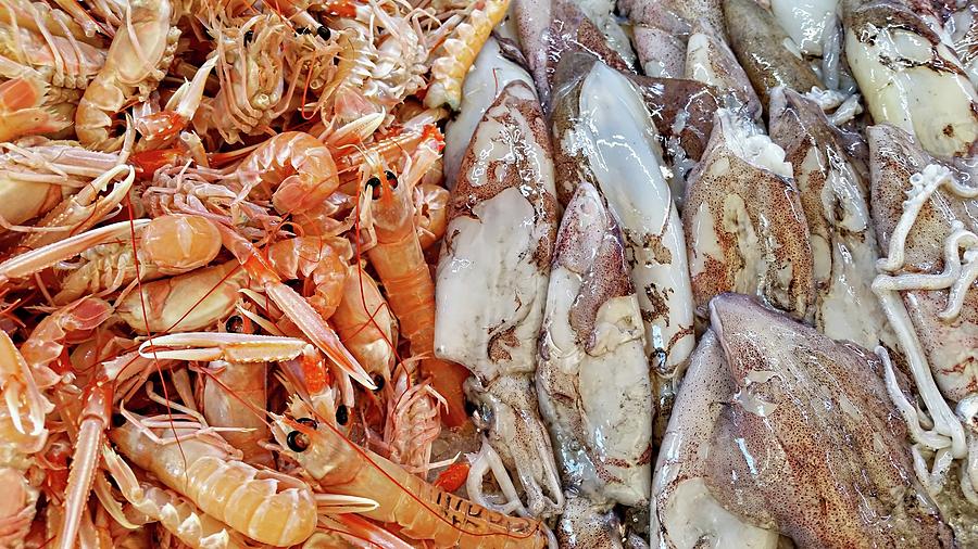 Shrimp and Squid - Port Santo Stefano, Italy Digital Art by Joseph Hendrix