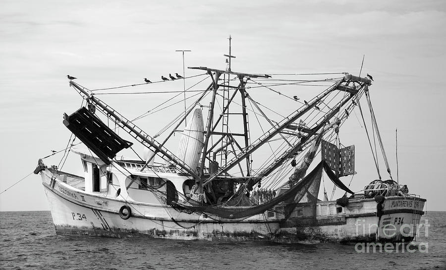 Shrimp Boat In Black And White Photograph by Bruce Block