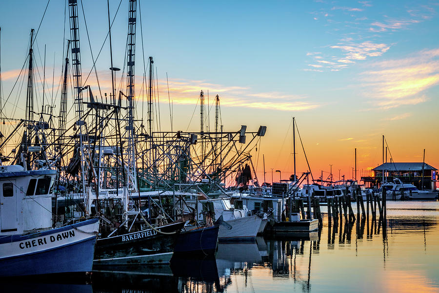 Shrimp Boat Lineup Photograph by JASawyer Imaging