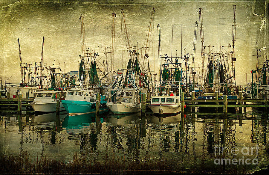 Shrimp Boat Lineup Photograph by Joan McCool