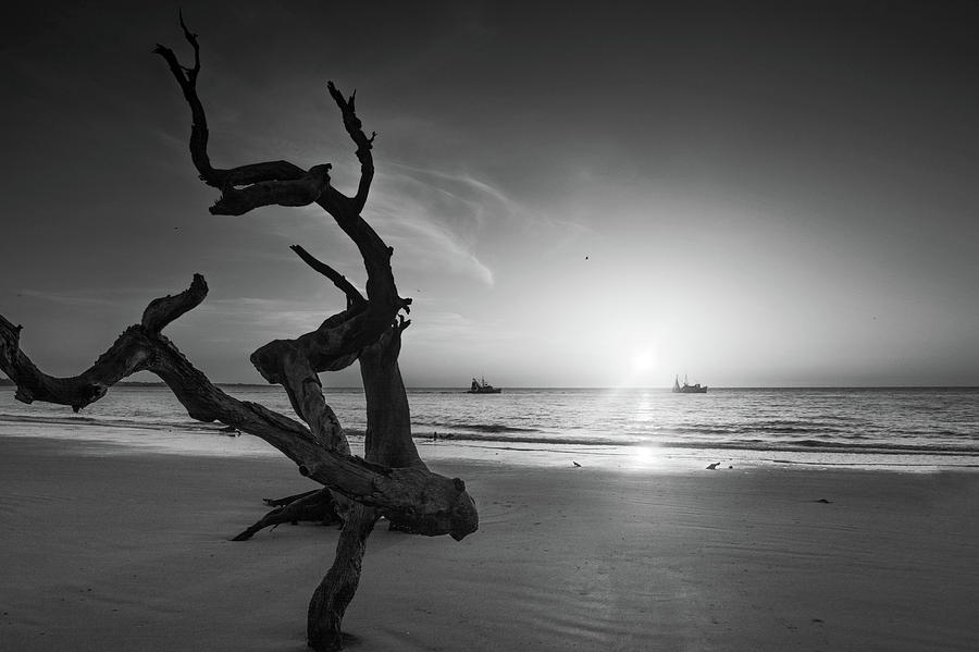 Shrimp Boats and Driftwood In Black and White Photograph by Greg and Chrystal Mimbs