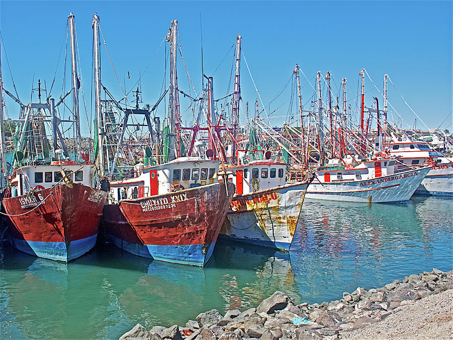 Shrimp Boats in Marina in Puerto Penasco in Sonora-Mexico Photograph by Ruth Hager