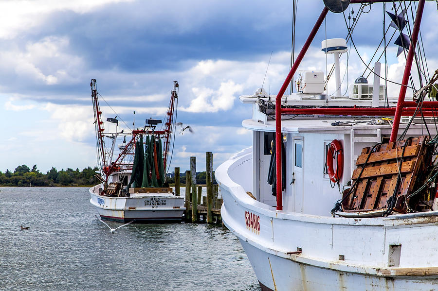 Shrimp Boats Photograph by Larry Waldon