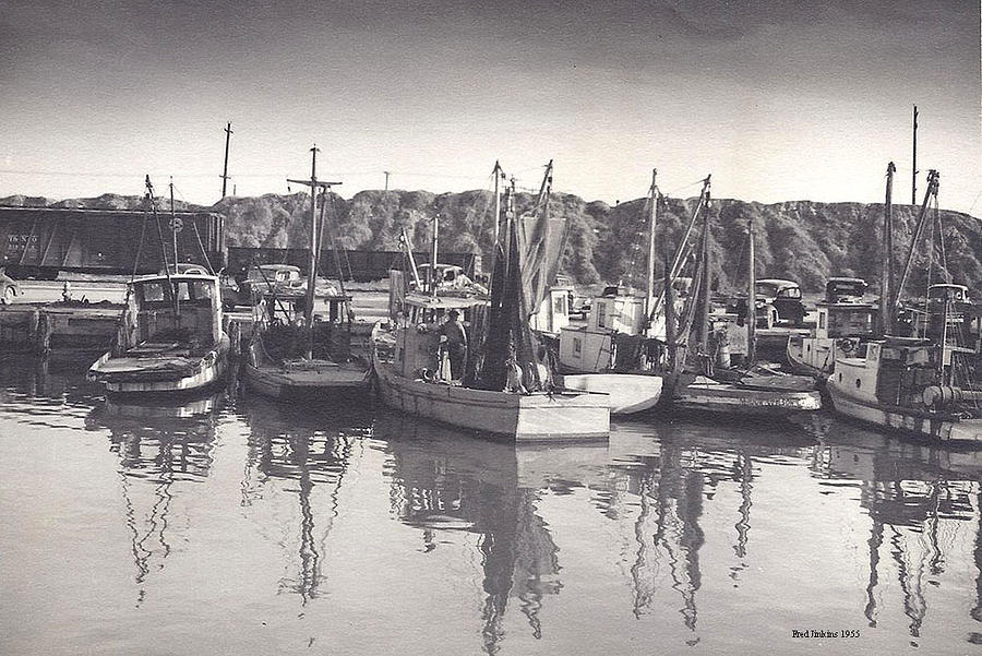 Boat Photograph - Shrimp Boats Mosquito Fleet by Fred Jinkins