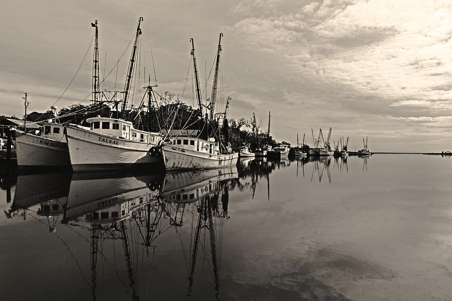 Shrimp Boats on the Altamaha Photograph by Kevin Senter