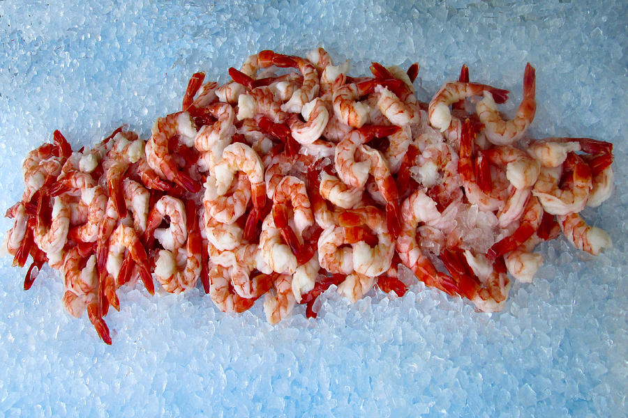 Shrimp Cocktail Starter Photograph by Lin Grosvenor