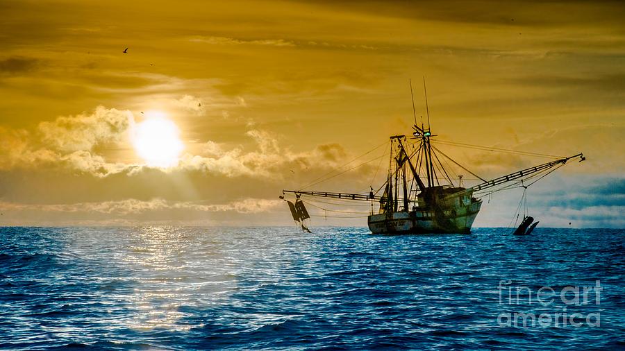 Shrimp Trawler at Dawn Photograph by Jim DeLillo