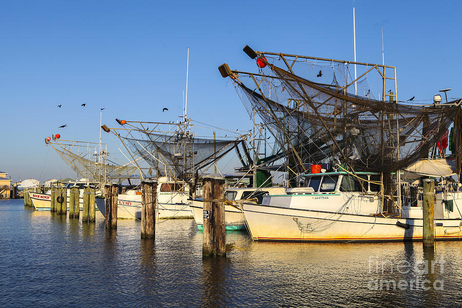 Shrimp Trawlers docked in Venice Louisiana. by Elizabeth Greene