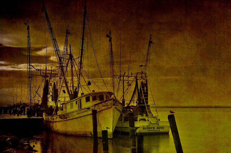 Transportation Photograph - Shrimpboats in Apalachicola  by Susanne Van Hulst