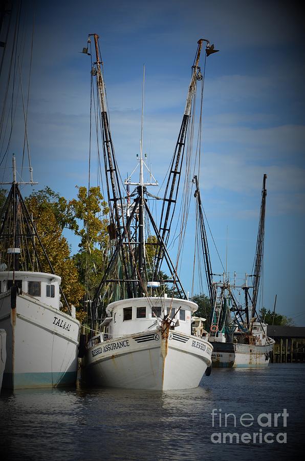 Shrimpers In For The Day -2 Photograph by Bob Sample