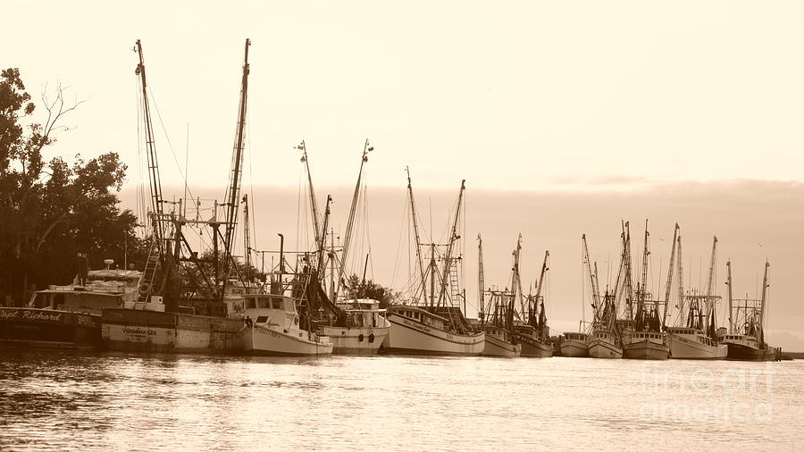 Shrimpers in Sepia - 16x9 Ratio Photograph by Bob Sample