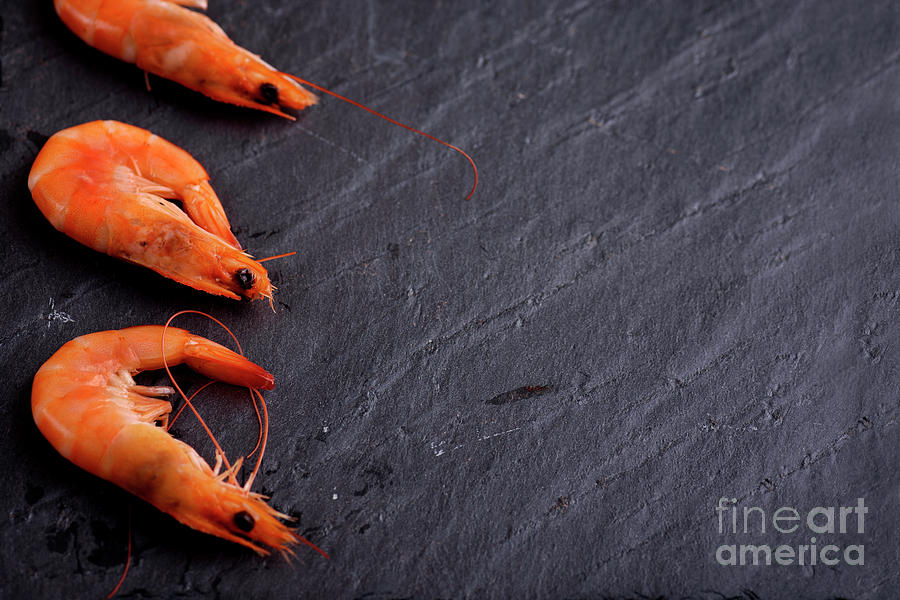 Shrimps Photograph by Jelena Jovanovic