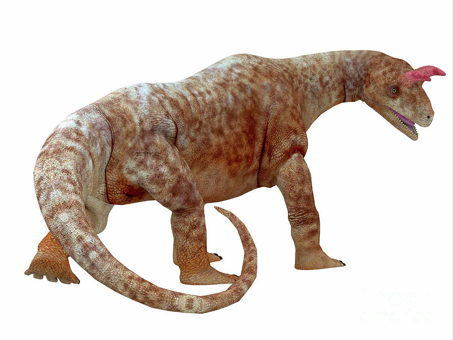 dinosaur with tail on head