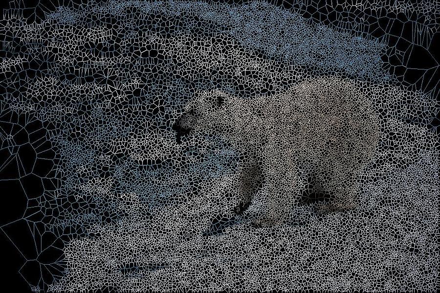 Shrinking Sea-Ice Digital Art by Stephane Poirier