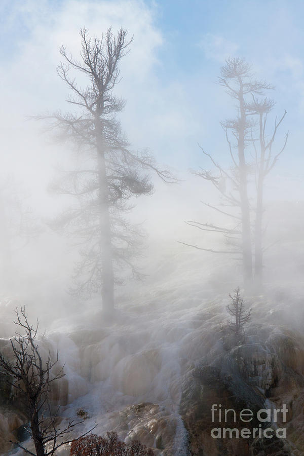 Shrouded Photograph by Katie LaSalle-Lowery