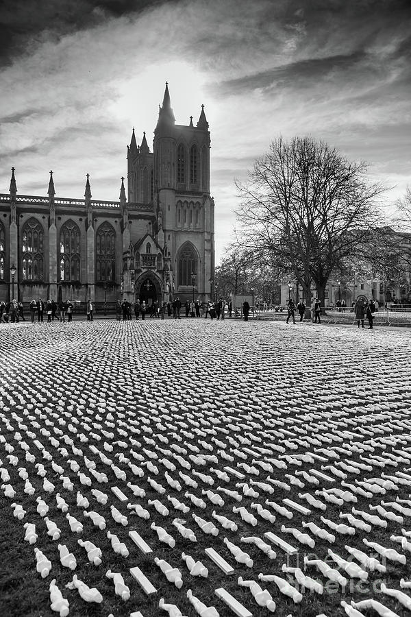 Shrouds of the Somme Photograph by Colin Rayner