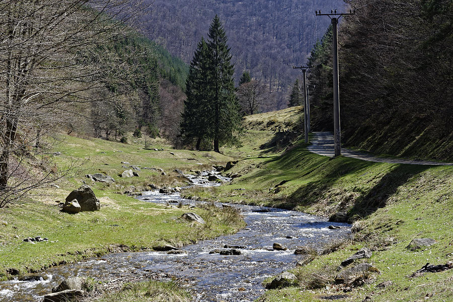 Above Photograph - Shteaza river clear water near Rasinari by Adrian Bud Above Photograph - Shteaza river clear water near Rasinari by Adrian Bud