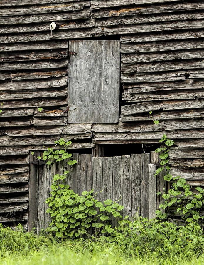 Shut the Barn Door Photograph by Laura Greene - Fine Art America
