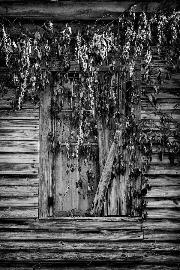 Shuttered Photograph by Stephen Stookey