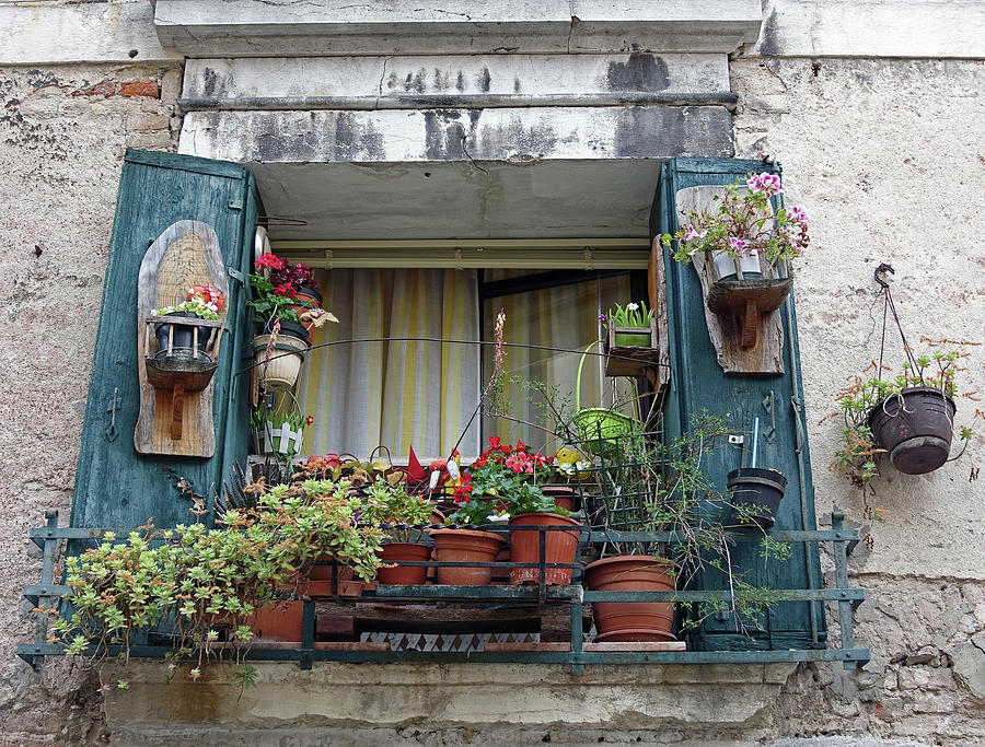 Shuttered Window With Plants And Flowers In Venice, Italy Photograph by Rick Rosenshein