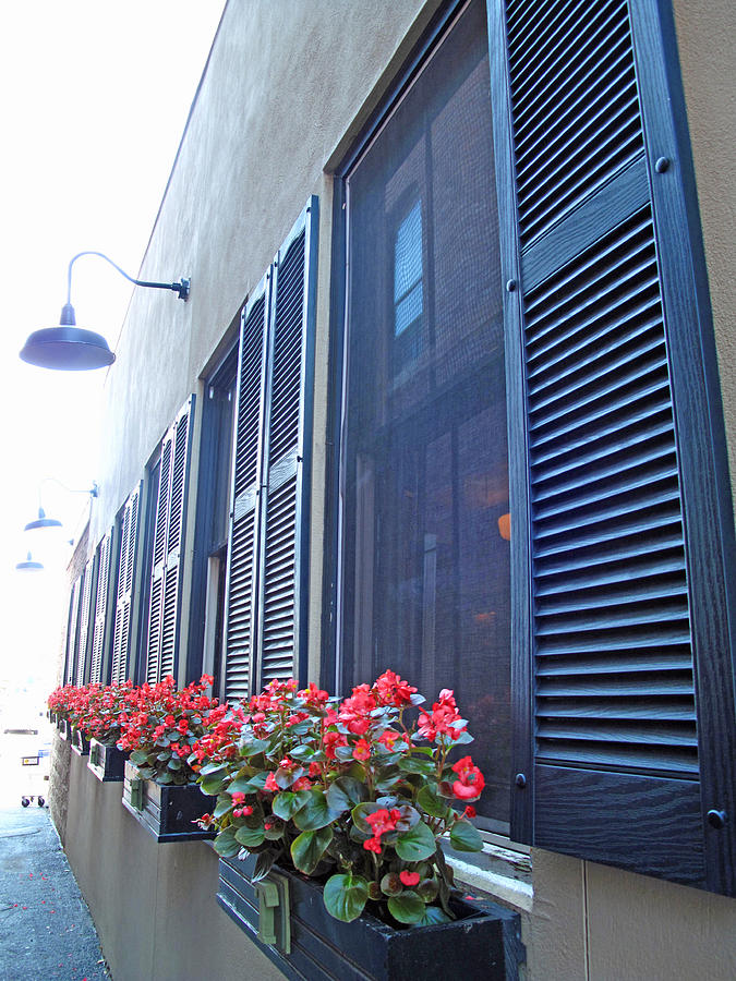 Shutters and Begonias Photograph by Barbara McDevitt