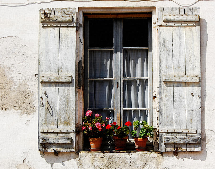 Summer Photograph - Shutters and Geraniums by Marion McCristall