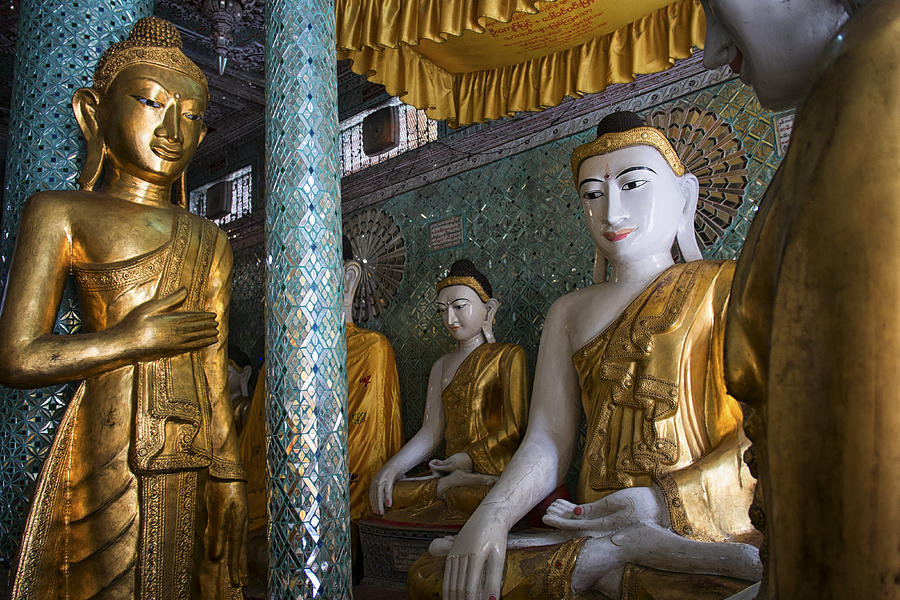 Shwedagon Watchers Photograph by David Longstreath