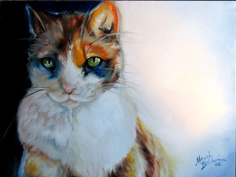 Cat Painting - Shy Calli by Marcia Baldwin
