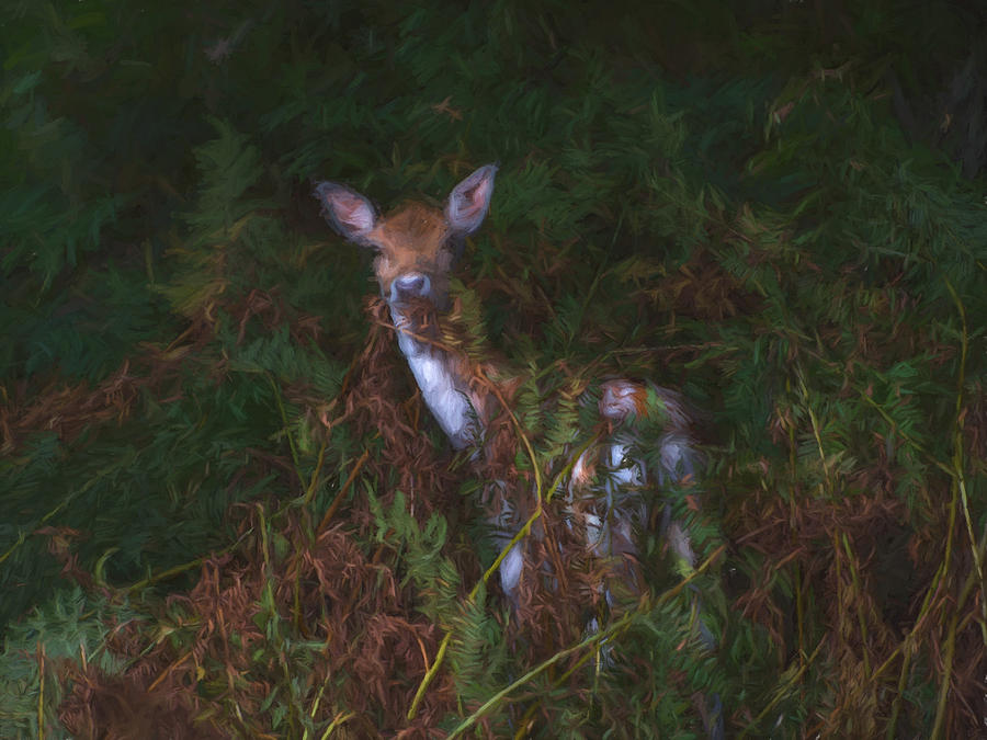 Shy Fallow Deer 2 Digital Art by Roy Pedersen