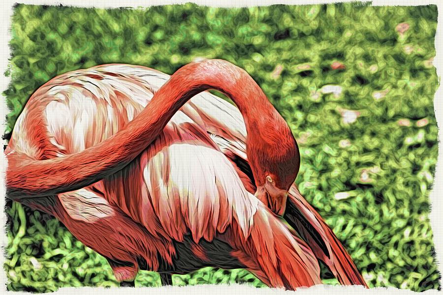 Shy Flamingo Photograph by Alice Gipson