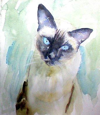 Siamese Cat Painting by Kate Bradley - Fine Art America