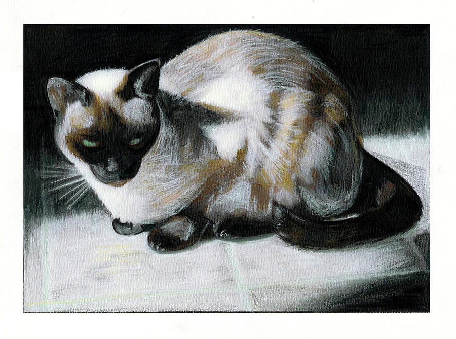 Cat Painting - Siamese Cat by Turtle Caps