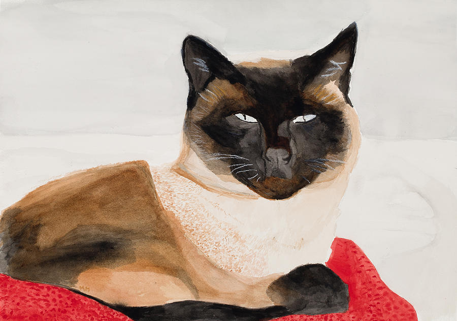 Cat Painting - Siamese Cat by Marcella Morse