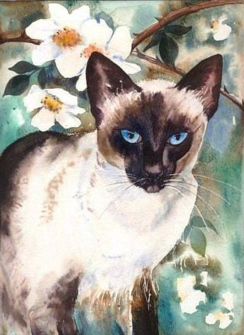 Siamese Cat Painting - Siamese Cat by Sandra Phryce-Jones