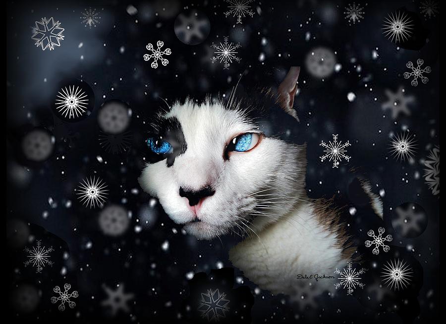 Cat Photograph - Siamese Cat Snowflakes Image   by Dale Jackson
