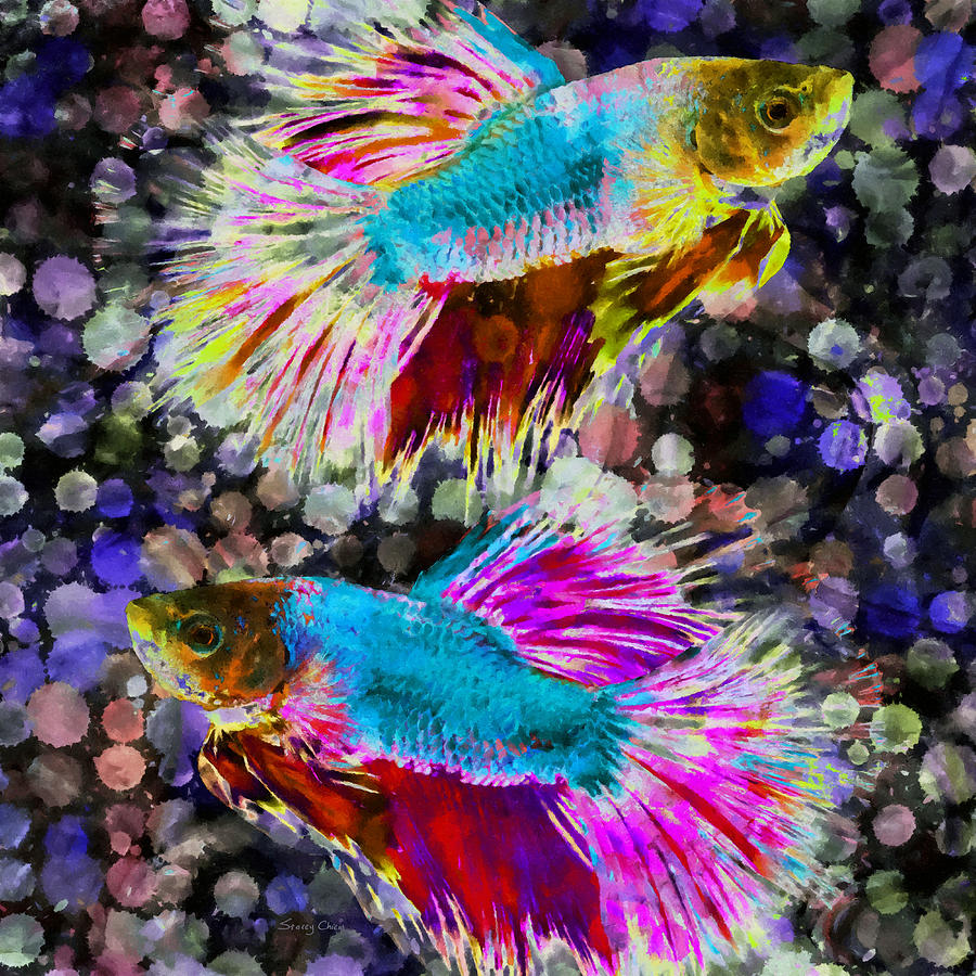 siamese-fighting-fish-mixed-media-by-stacey-chiew-fine-art-america