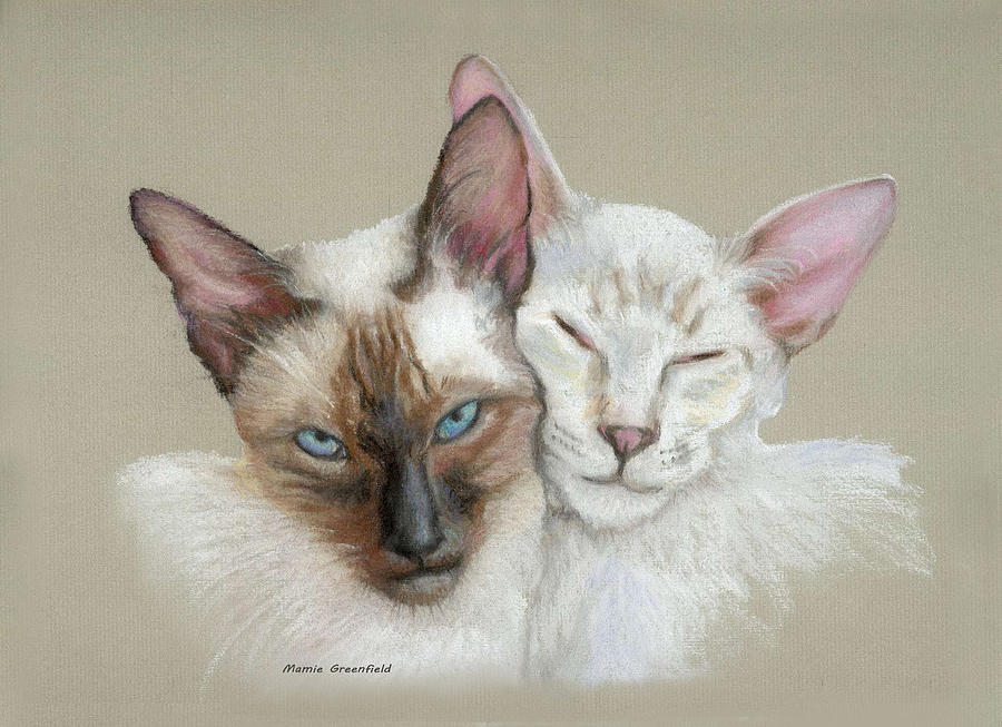 Siamese if you please Drawing by Mamie Greenfield