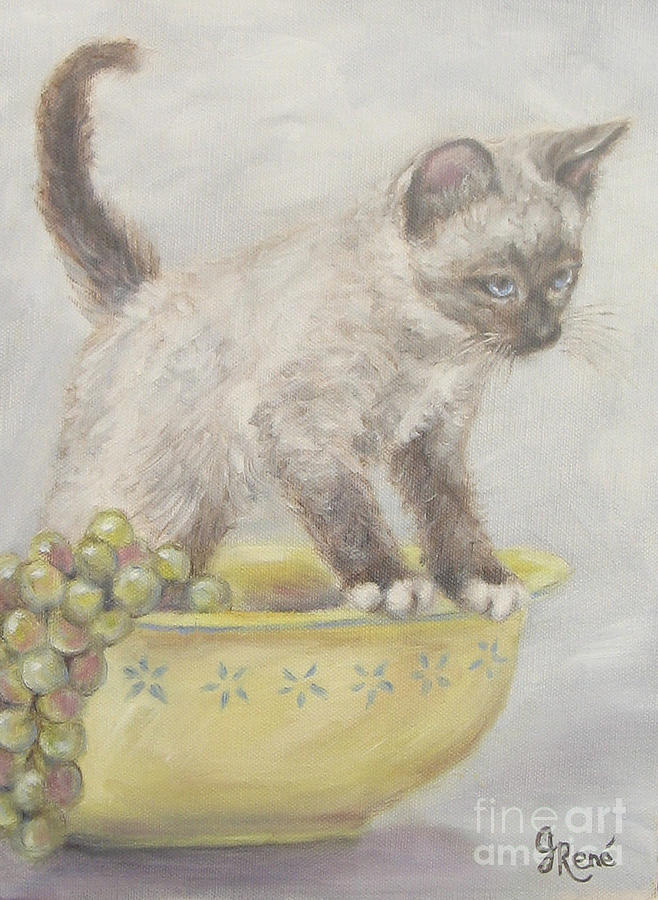 Grape Painting - Siamese Kitten in a Yellow Bowl by Gayle Rene