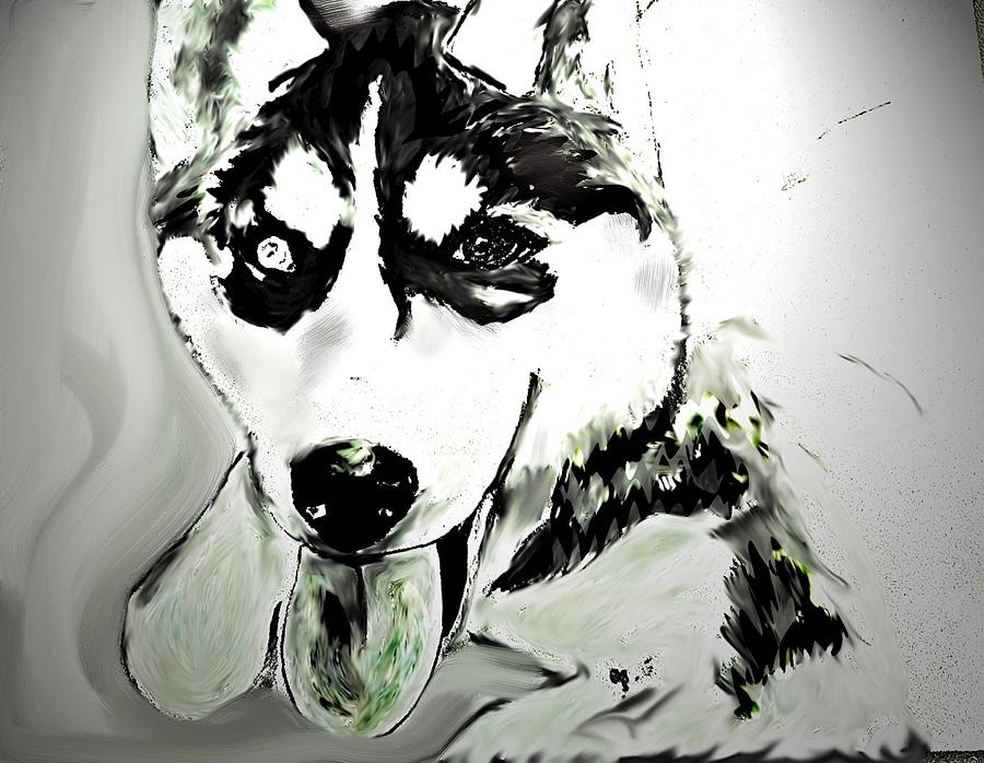 Husky Digital Art - Siberian Husky by Crystal Webb