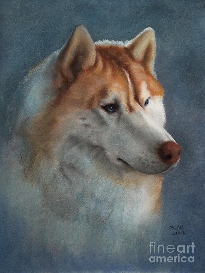 Siberian Husky Pastel by William Michel