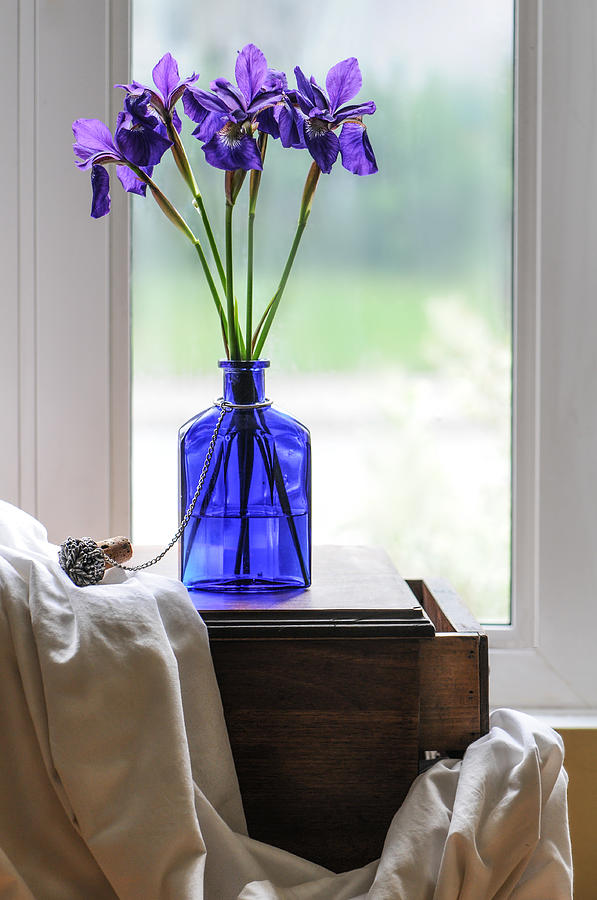 Still Life Photograph - Siberian Irises in a Blue Bottle  by Maggie Terlecki